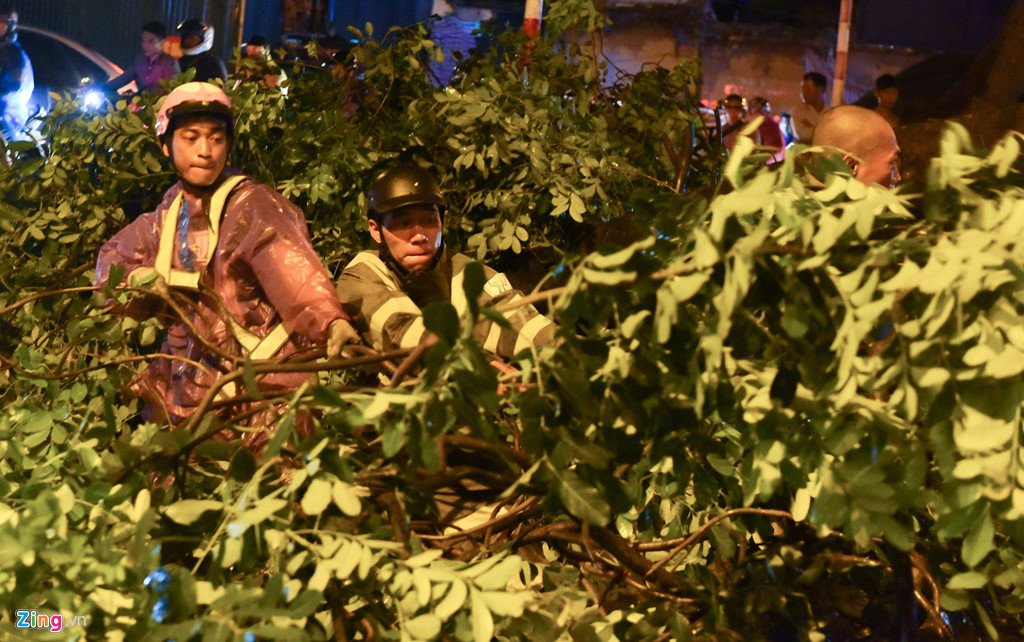 Cay do gay tac duong sau mua lon o Ha Noi hinh anh 6