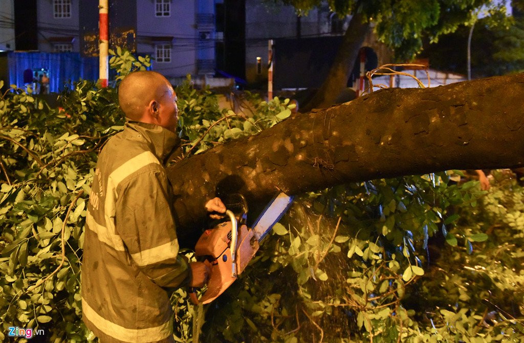 Cay do gay tac duong sau mua lon o Ha Noi hinh anh 7