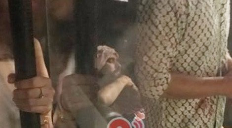 Dao dien Kong nam vien, huy lich trinh quang ba du lich Viet Nam hinh anh 1