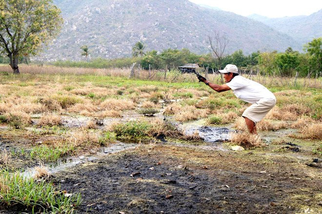 Xac dinh nguyen nhan nuoc gan bai xi Nhiet dien Vinh Tan nhiem man hinh anh 2