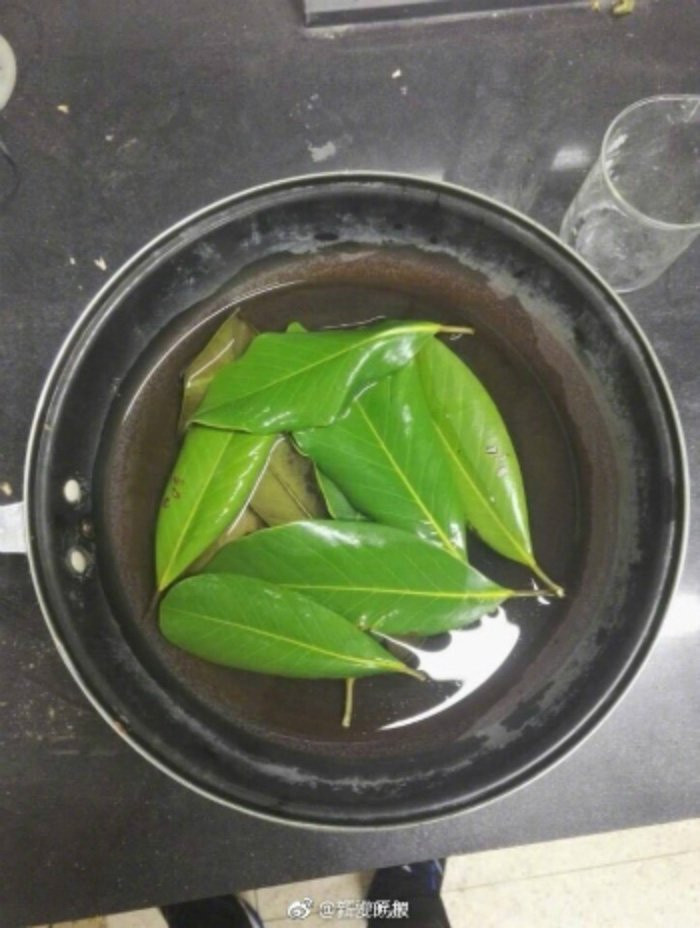 vay-bang-la-cay-cua-sinh-vien-2712-5946-1509245225 3