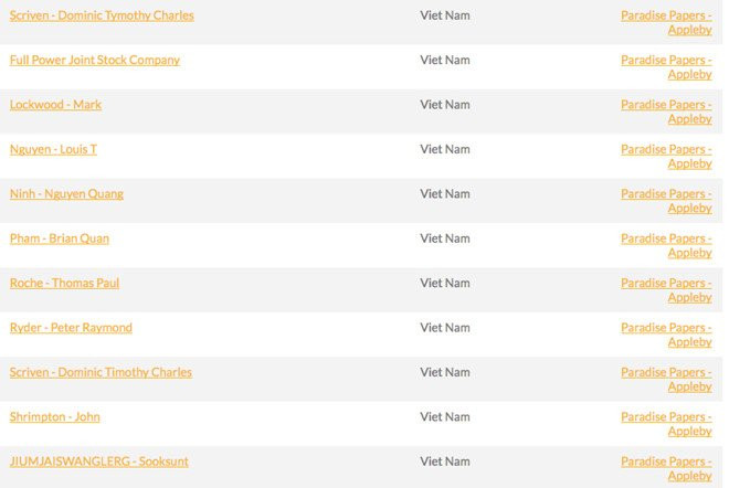 Nhieu dai gia Viet co ten trong Ho so Paradise hinh anh 1