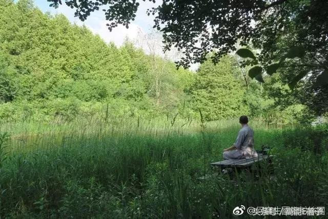 Tai tu 'Tieu ngao giang ho' bo canh giau, song doi xuat gia hinh anh 2