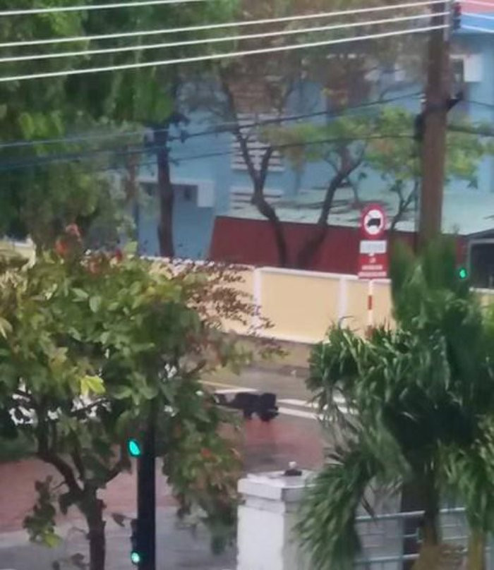 dien-bien-bao-so-16-con-dao-bat-dau-noi-gio-manh-den-duong-cay-coi-do-rap-2-1514213973-496-width480height554 9