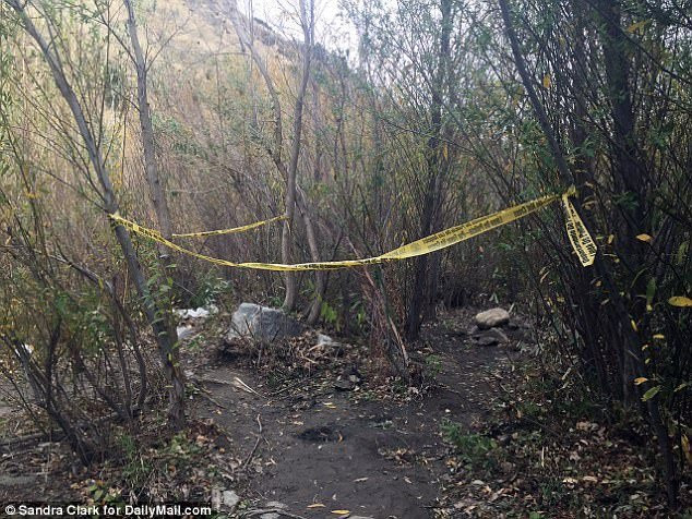 Tai tu 'Glee' treo co tren cay tu sat sau be boi luu phim au dam hinh anh 1