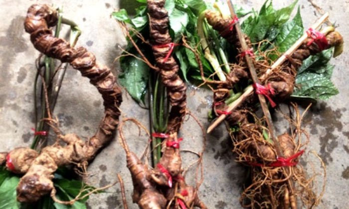 sam-123-1417-1517201613 3