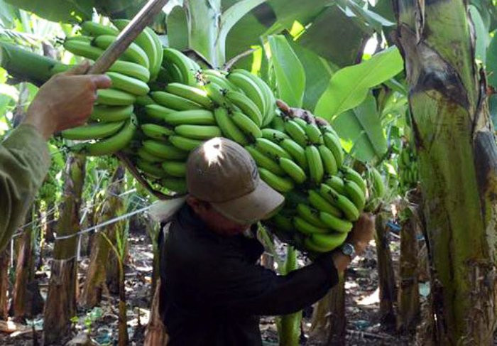 28872391_1412819942156826_2563859909640716288_n-1158381 10