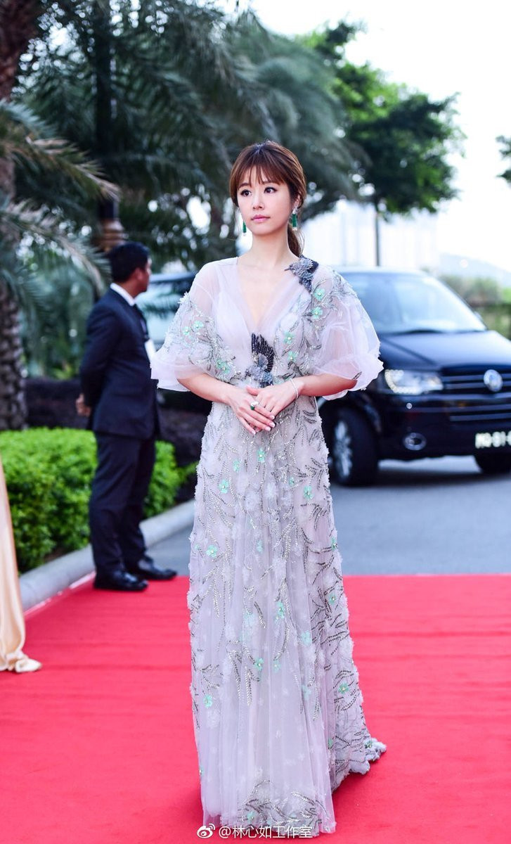 Lam Tam Nhu, On Bich Ha noi bat ben dan sao tre tren tham do Hoa Dinh hinh anh 4