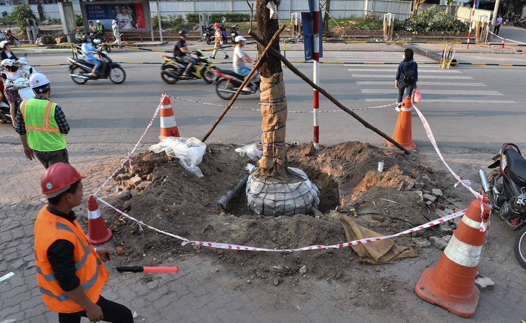 Chan 1 chieu duong Cat Linh de thi cong, xe co un u gio cao diem hinh anh 11