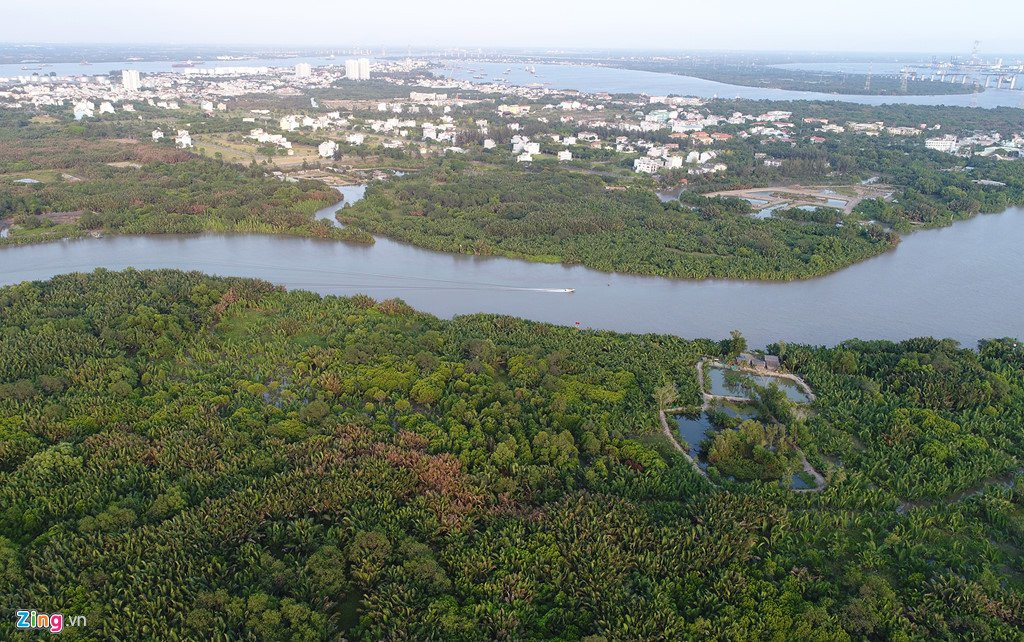 Can canh khu dat duoc cho la ban gia beo cho Quoc Cuong Gia Lai hinh anh 4