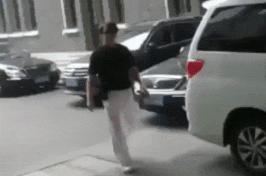 Thanh Long tap tenh xuat hien sau clip con gai cau cuu o Canada hinh anh 1