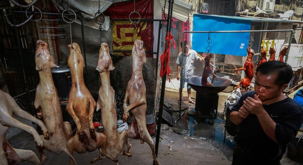 Le hoi thit cho van dien ra o Trung Quoc bat chap chi trich hinh anh 5