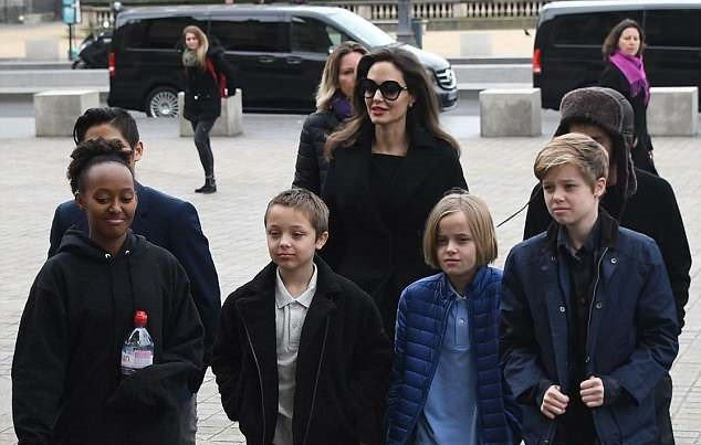 Brad Pitt khang dinh chi hon 9 trieu USD de Angelina Jolie nuoi con hinh anh 2