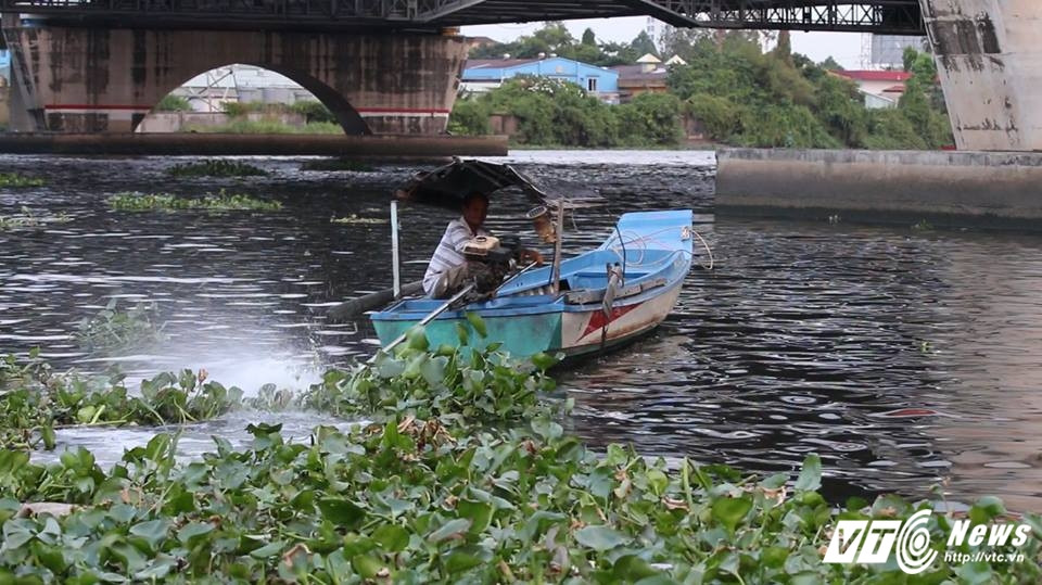 17426292_1879486825598148