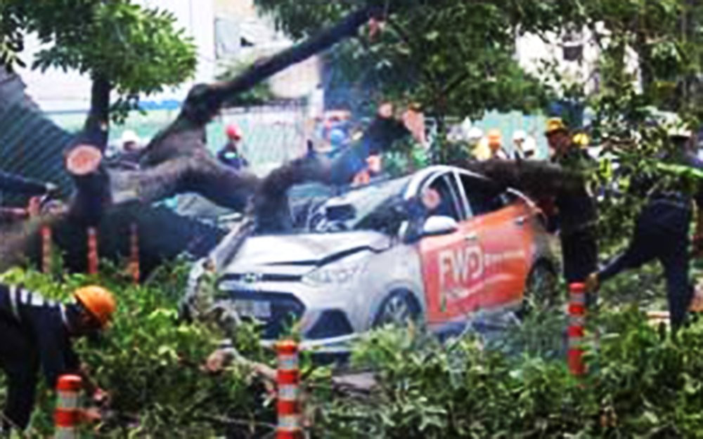 1505898007-150589749967632-hinh-7 copy