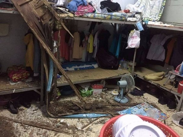 23621156_748756965322407_271520563040516188_n 7