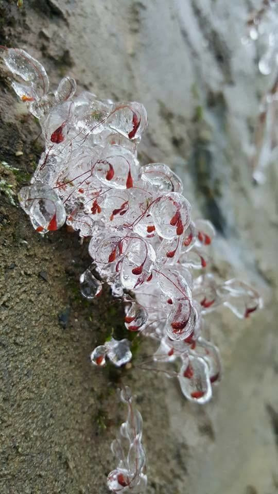 20171123-125725-23722761_1897286660584992_1901400113154975567_n 9