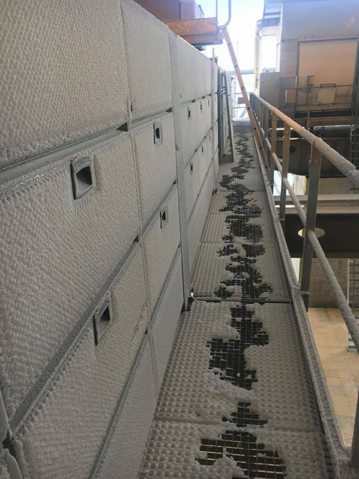 25396082_1730147753691834_5661711247626379144_n