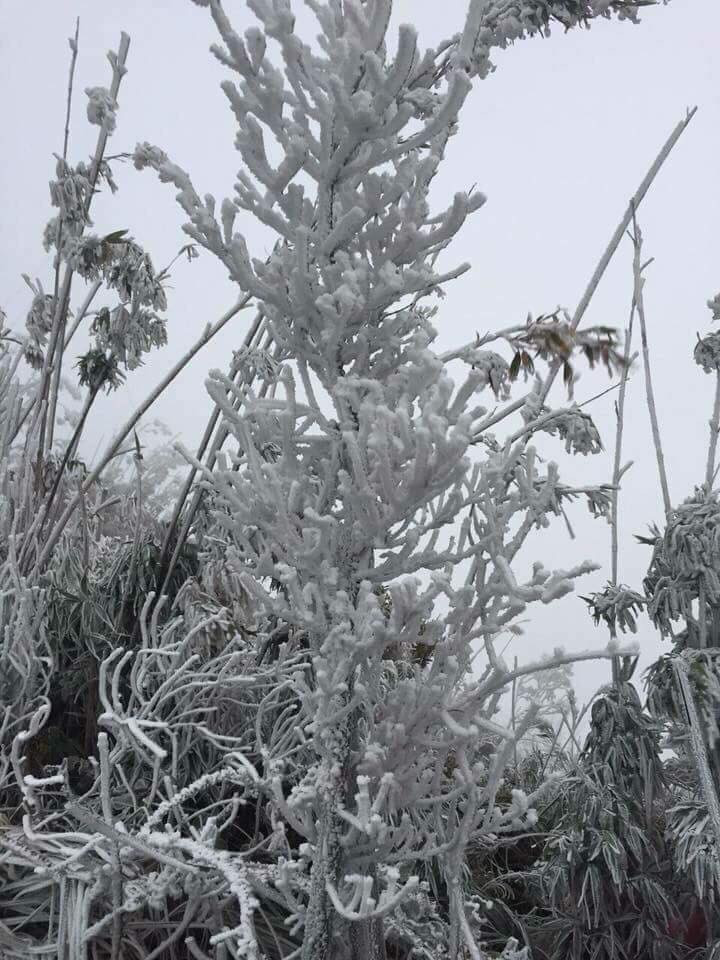 25443094_1494570563994888_4459707048955395938_n 4