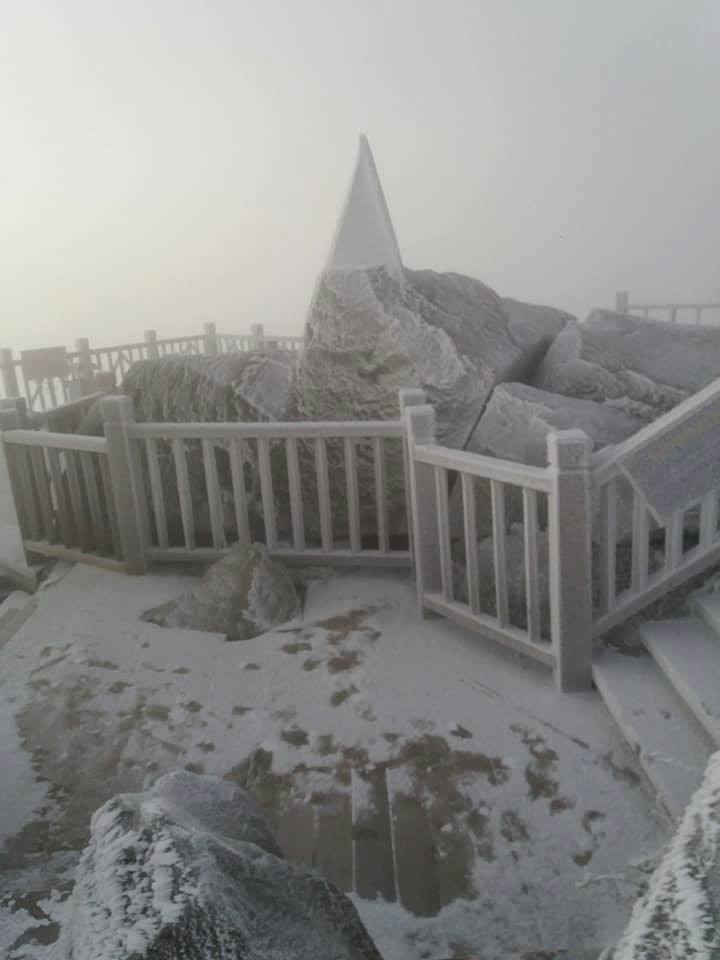 25446071_1730147883691821_8717933732408925262_n 6