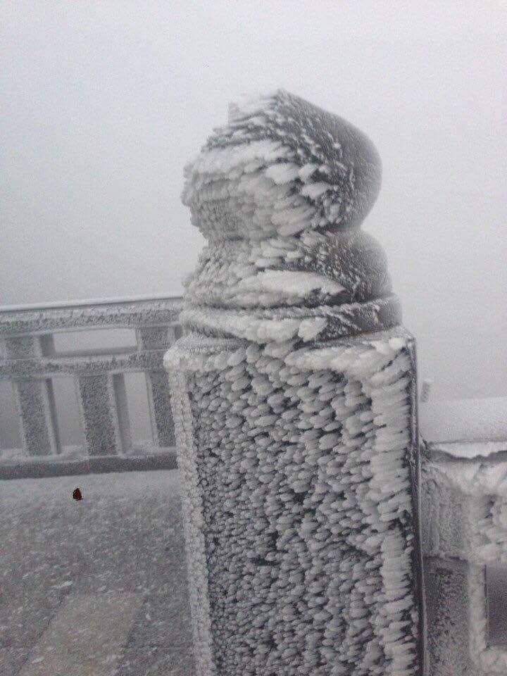 25498470_1494570447328233_4608099731246450511_n 10