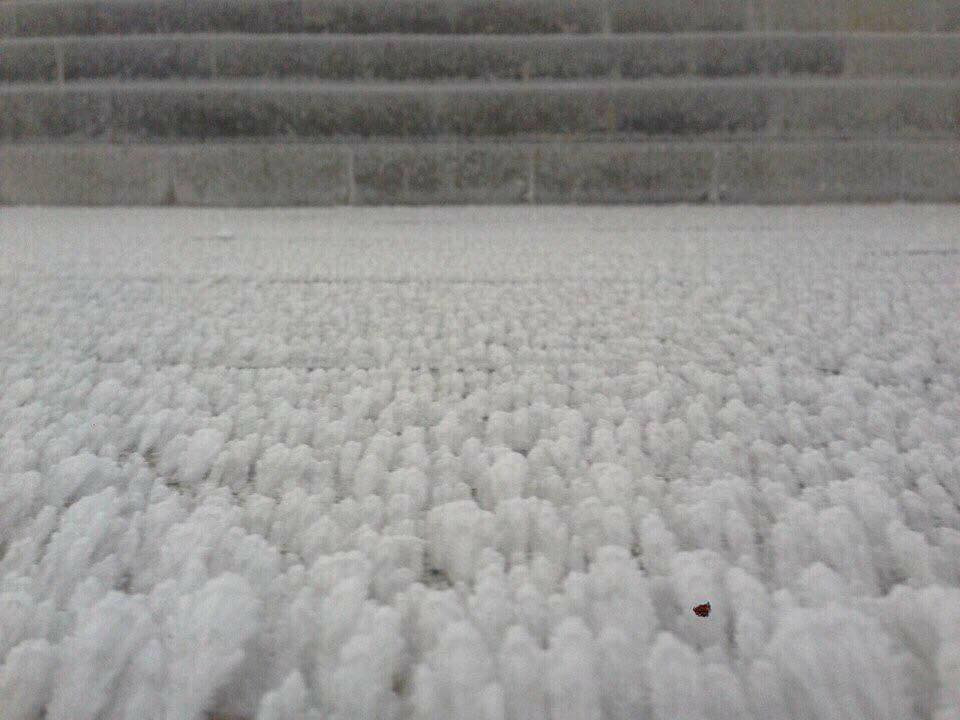 25552296_1494569600661651_3813603911694032546_n 12