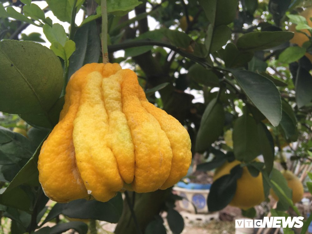 27330444_2025712857642210_246929642_o