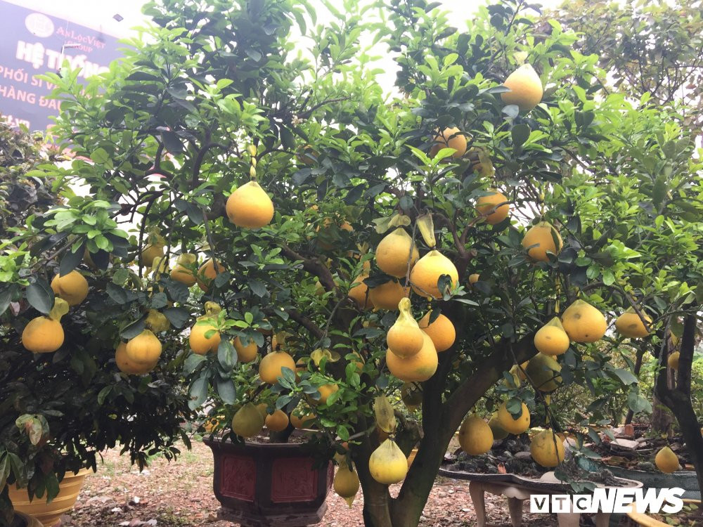 27330511_2025712950975534_757765023_o