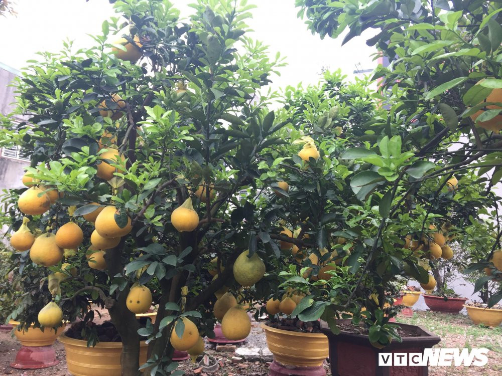 27393120_2025712874308875_1138142400_o 4