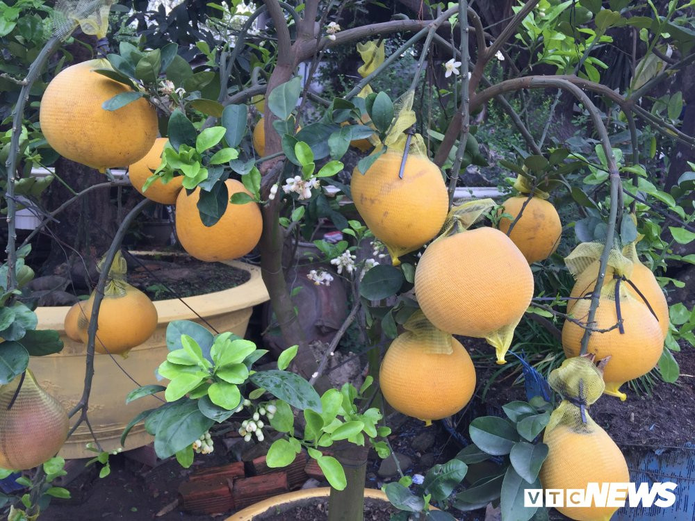 27393234_2025713237642172_1604367082_o 4