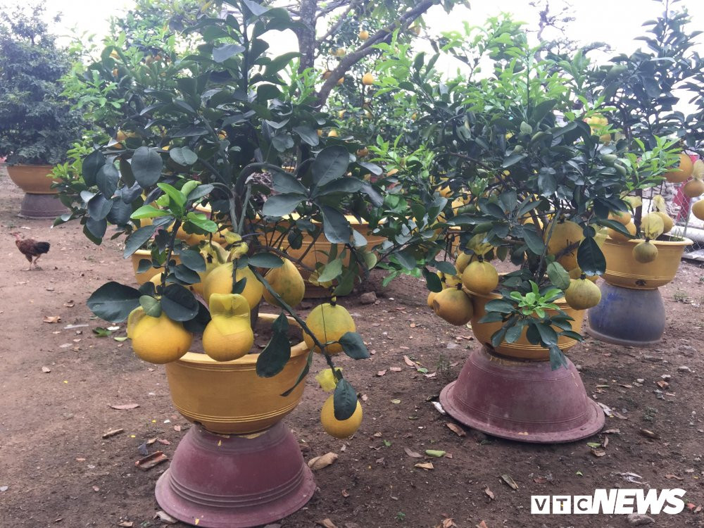 27393368_2025712830975546_501917611_o 6