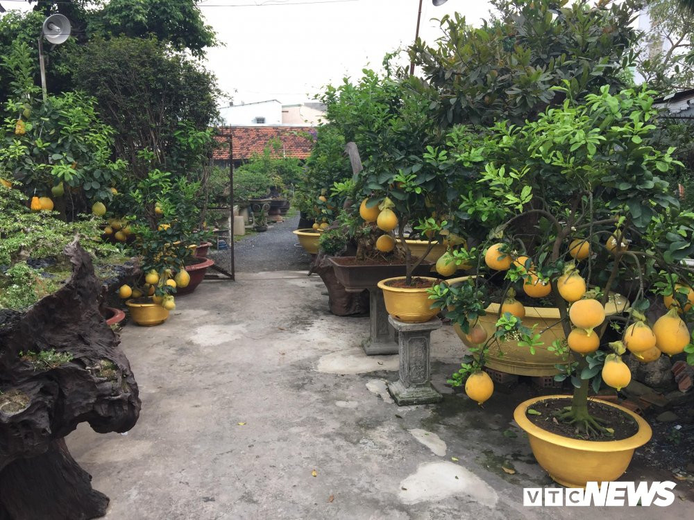 27393769_2025713060975523_1190994437_o 8