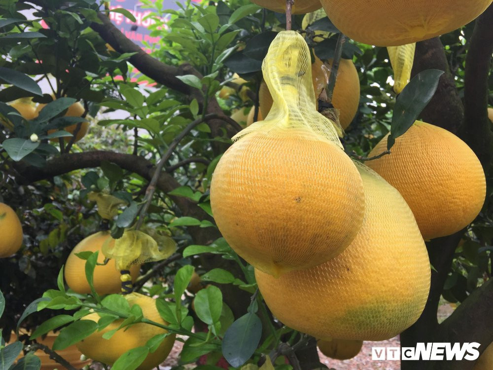 27398118_2025712890975540_1961432973_o 8