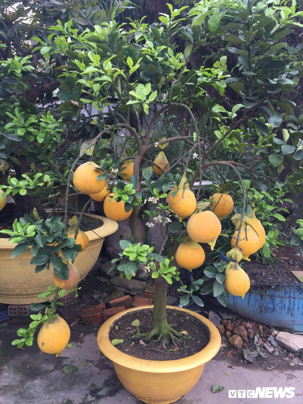 27398869_2025713077642188_244295592_o 10