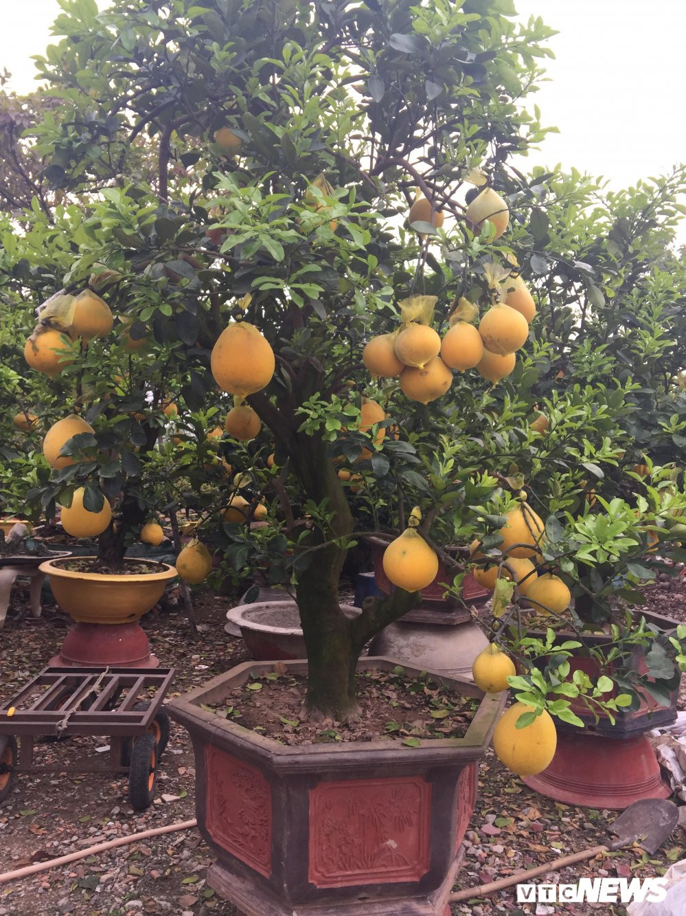 27399121_2025712974308865_1200943522_o 12