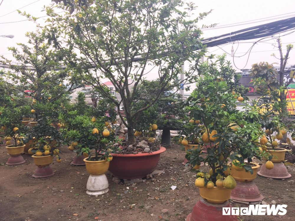 27484540_2025712834308879_204498369_o 14