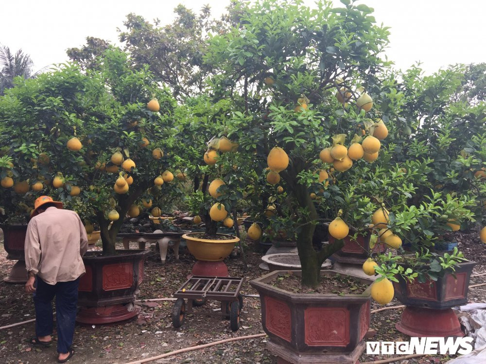 27484840_2025713000975529_543333035_o 16