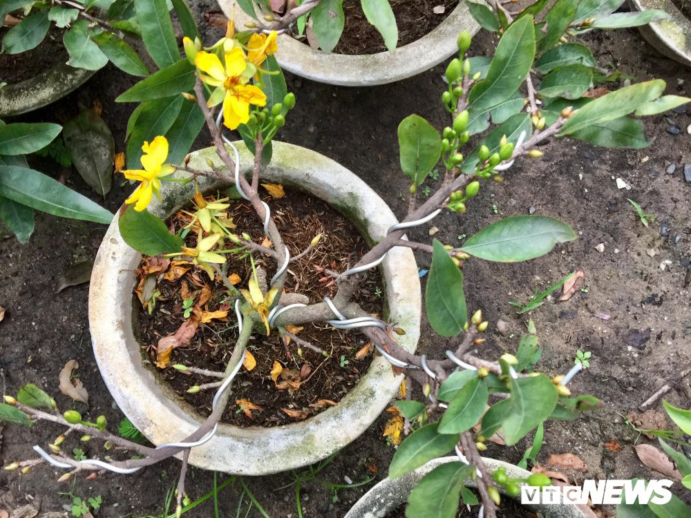 27534957_2027163047497191_823310973_o 24