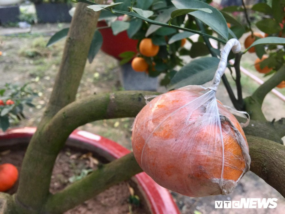 27535151_2027769924103170_498515334_o 5