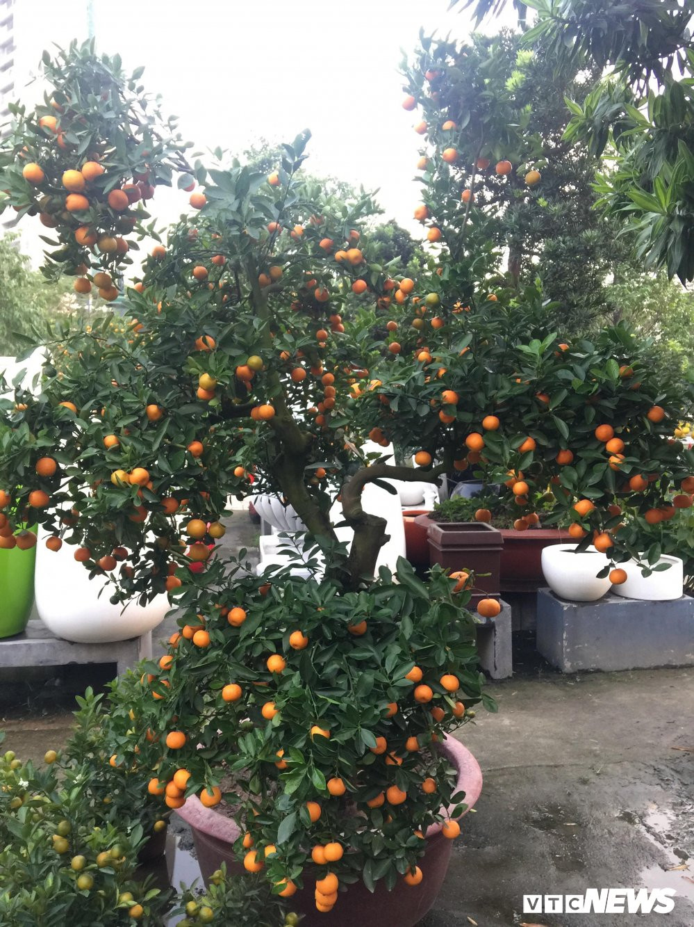 27535158_2027769914103171_521036488_o 5