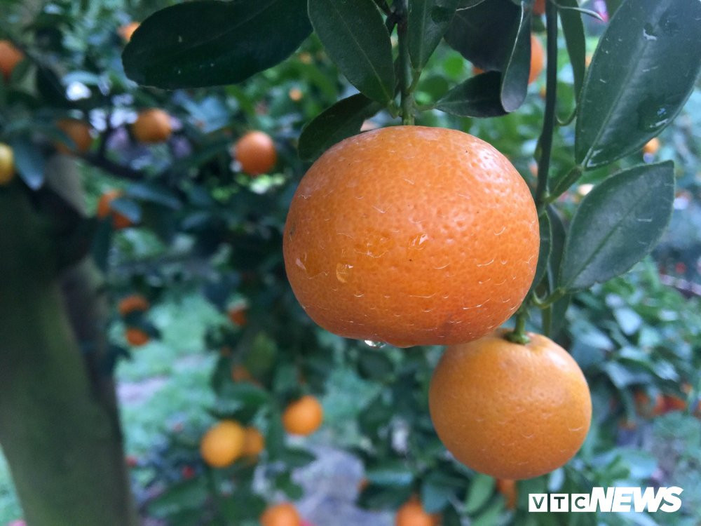 27537219_2027769977436498_450373501_o 5