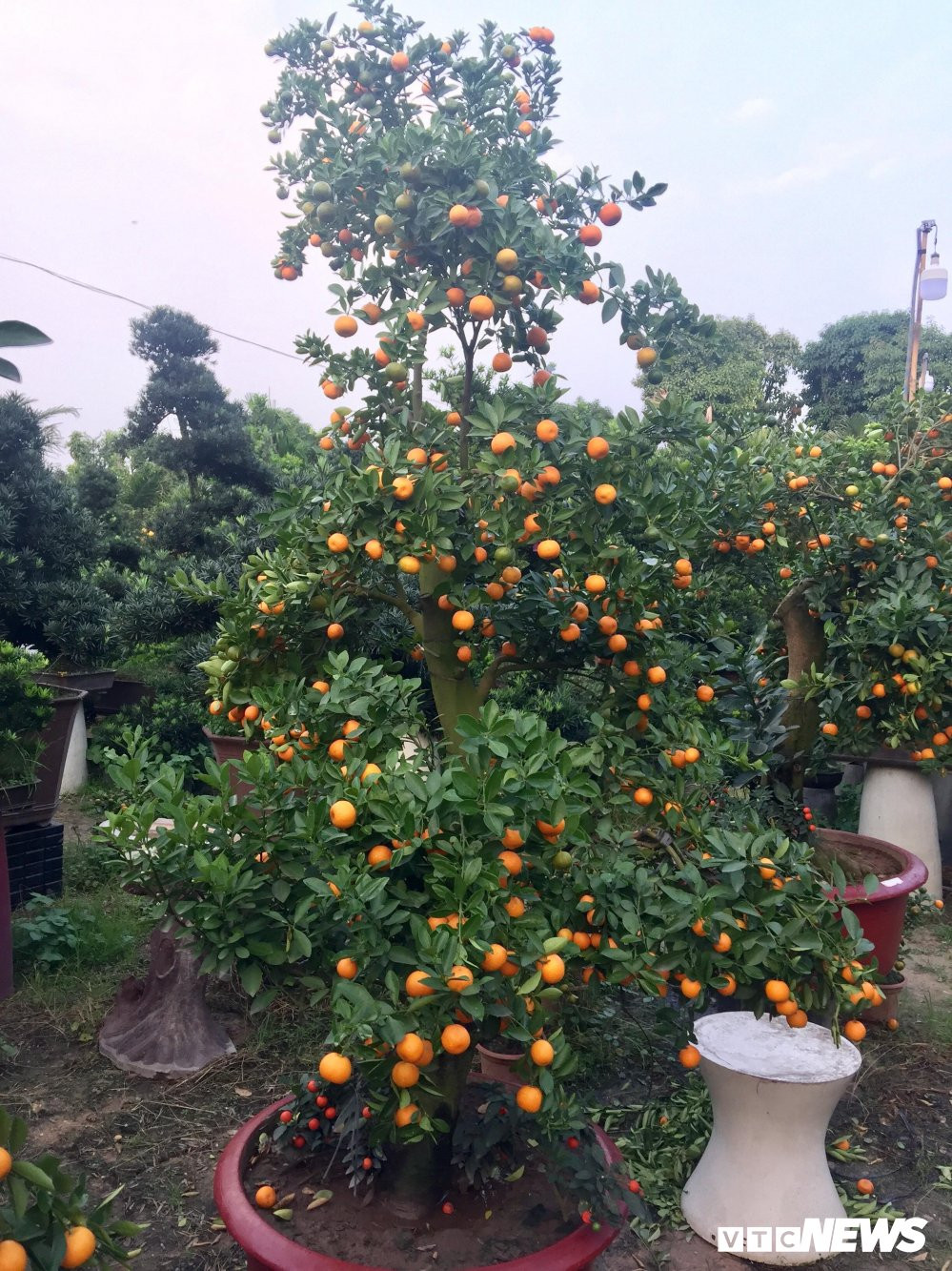 27603948_2027770037436492_491731881_o (1) 5