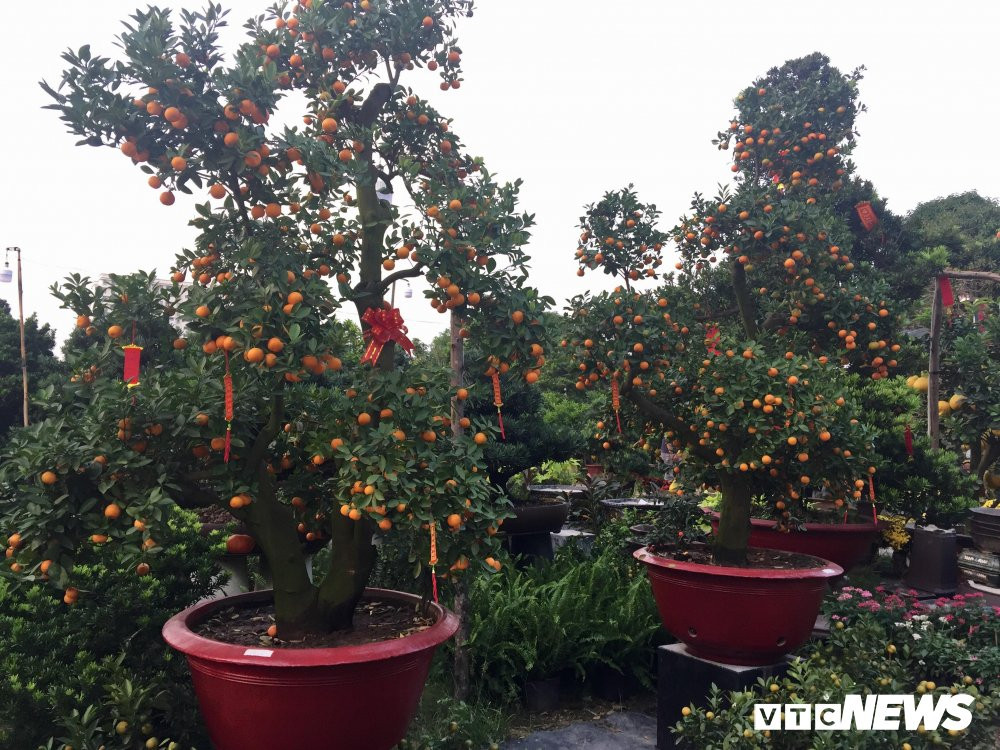 27604762_2027769764103186_1305676777_o 5