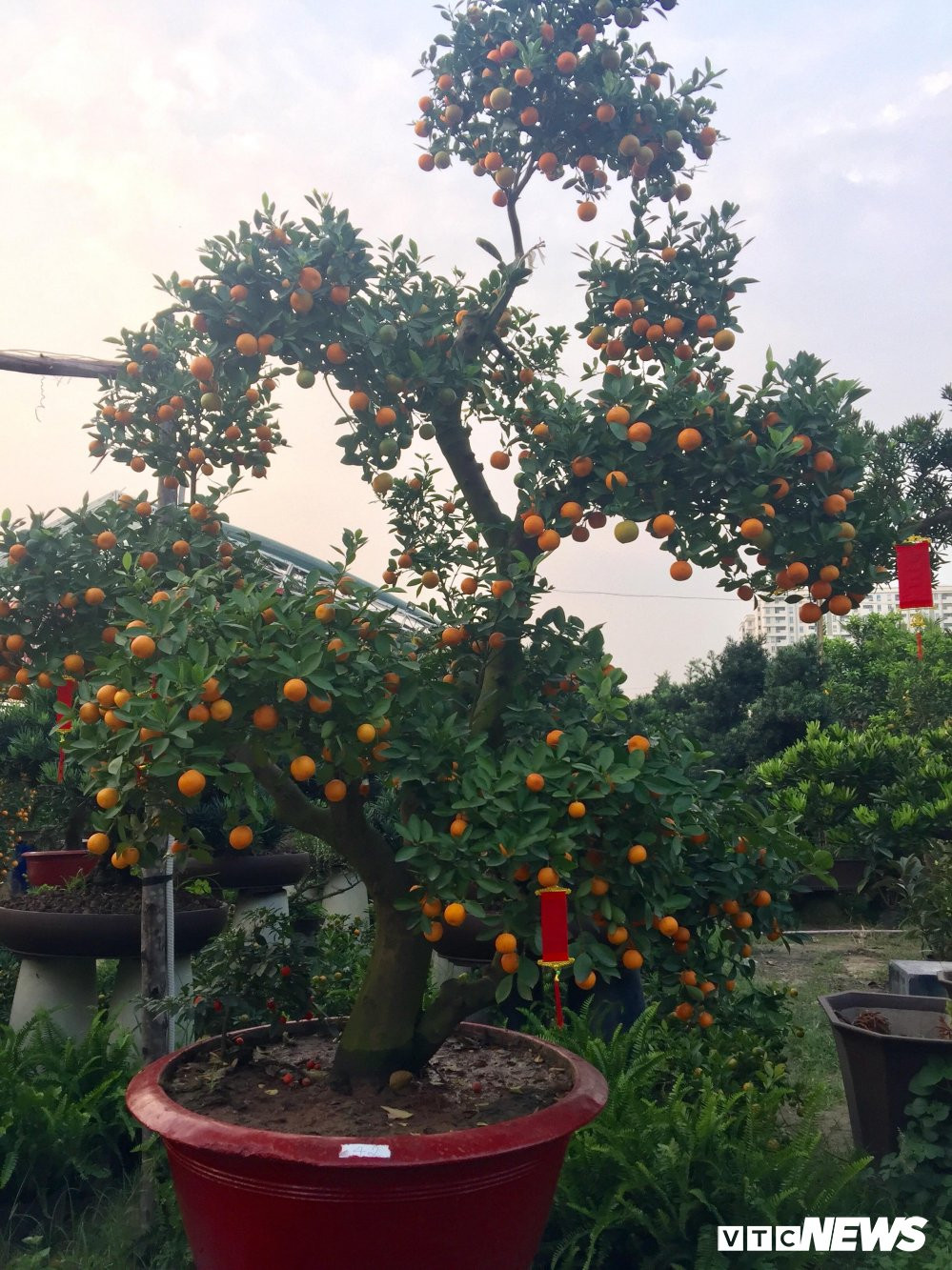 27605720_2027769787436517_1581050379_o 5