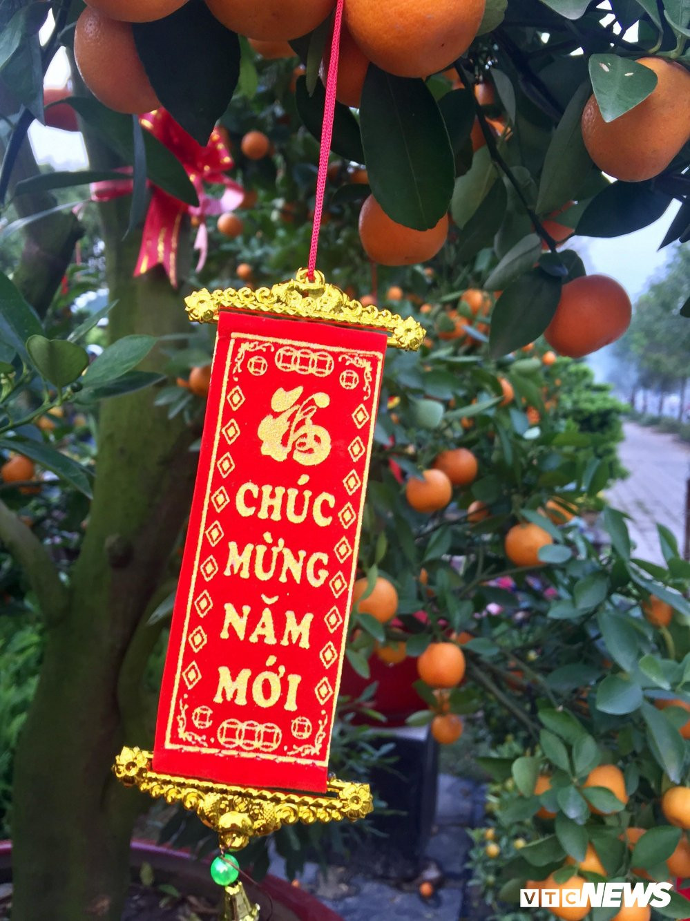 27605929_2027769994103163_515554483_o 5