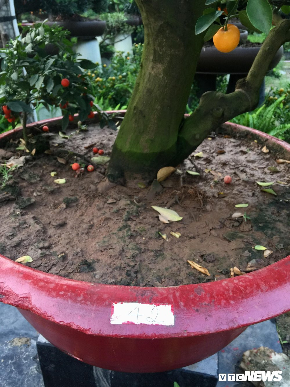 27653080_2027769774103185_363328812_o 5