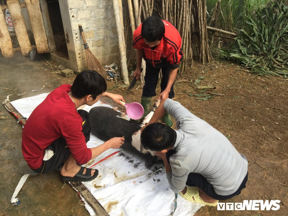 28124808_2035176696695826_524267961_o 5