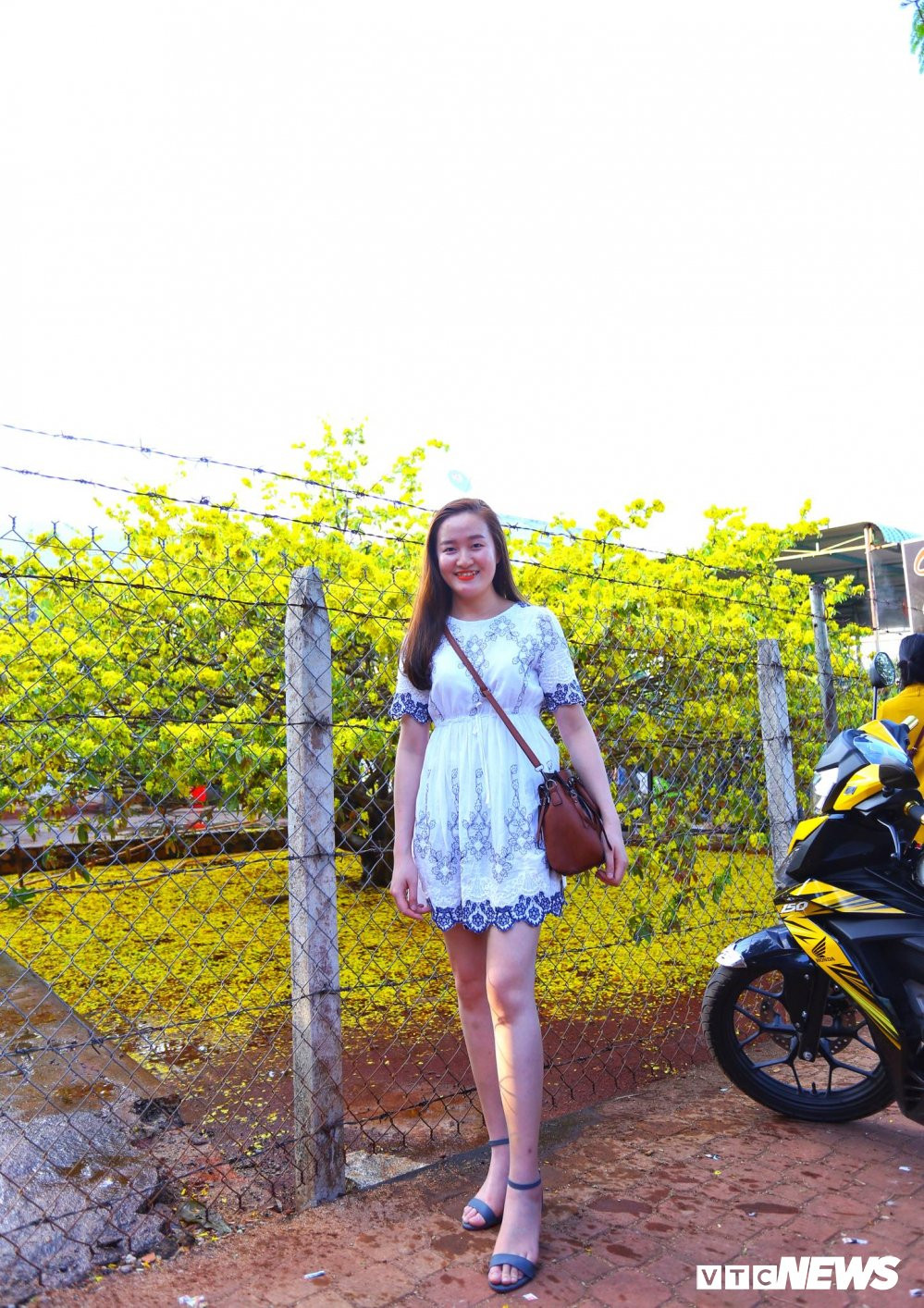 27993618_1908765505823753_1686019683581611975_o 7