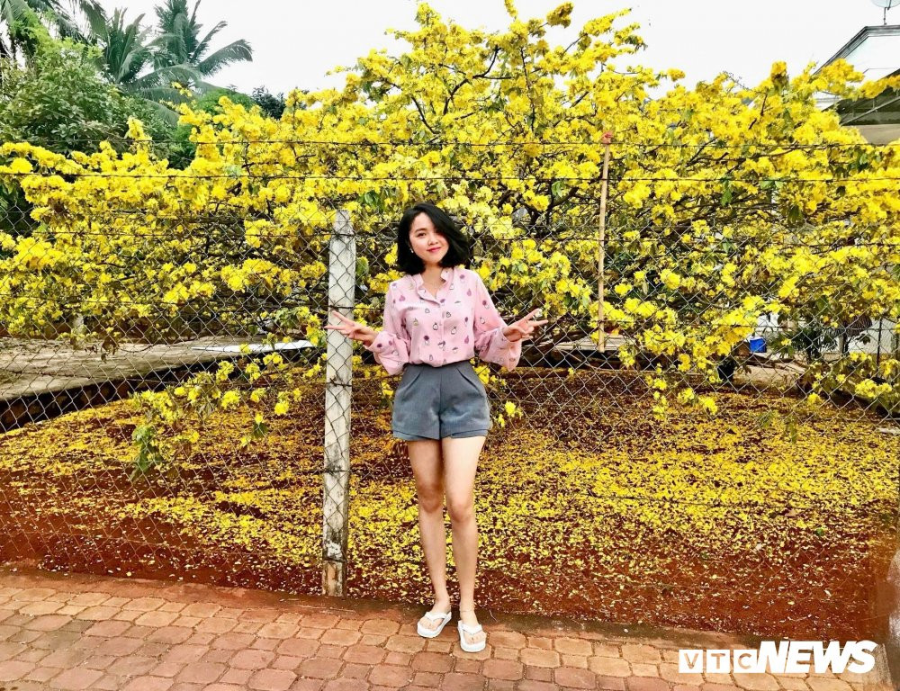 28161664_1908774275822876_22166278507585440_o 9