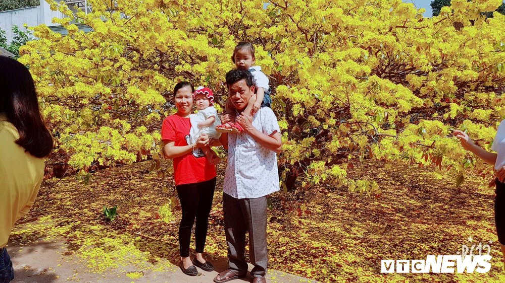 28238331_1259076927570105_7180573076869837907_o 11